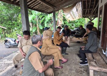 Dinas Pertanian Tinjau Langsung Petani Sawah Terdampak Kekeringan