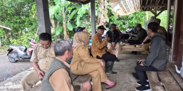 Dinas Pertanian Tinjau Langsung Petani Sawah Terdampak Kekeringan
