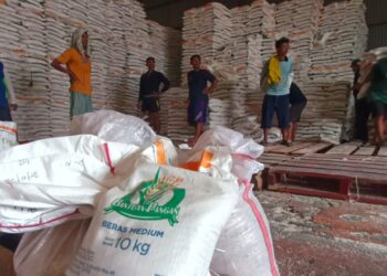 Bulog Dramaga Distribusikan Penyaluran Bantuan Pangan Awal Tahun 2026, Alokasi Februari Dan Maret Ke 3 Kabupaten / Kota