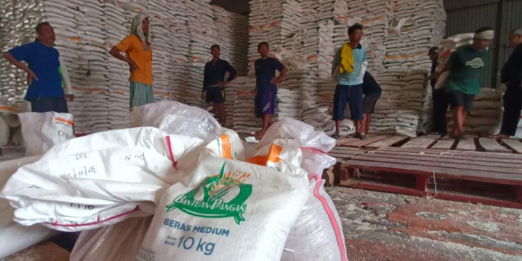 Bulog Dramaga Distribusikan Penyaluran Bantuan Pangan Awal Tahun 2026, Alokasi Februari Dan Maret Ke 3 Kabupaten / Kota
