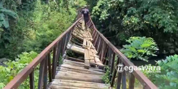 Jembatan Gantung Lapuk di Sukabumi Tetap Dilintasi Meski Mengancam Jiwa