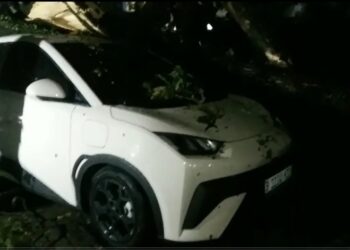 Hati-Hati Parkir Mobil Di Bawah Pohon Saat Hujan Deras