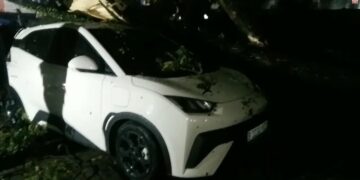 Hati-Hati Parkir Mobil Di Bawah Pohon Saat Hujan Deras