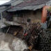 Banjir Sungai Sindang Barang Gerus 8 Rumah Warga di Ciomas Bogor