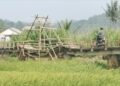 Rusak Sejak 2018, Jembatan Penghubung Dua Kecamatan Di Sukabumi Belum Ada Perbaikan