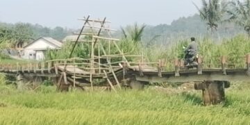 Rusak Sejak 2018, Jembatan Penghubung Dua Kecamatan Di Sukabumi Belum Ada Perbaikan