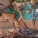 Atap Gedung Sekolah Dasar di Kabupaten Sukabumi Ambruk