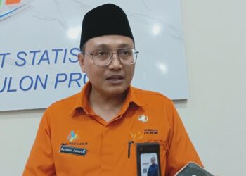 Sensus Ekonomi, BPS Kulon Progo Sasar Pelaku Usaha Kecil Hingga Besar
