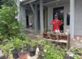 Manfaatkan Lahan Sempit, Hasilkan Cuan Besar dari Bisnis Bonsai