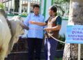 Pemkab Kulon Progo Salurkan Hewan Kurban ke 56 Wilayah