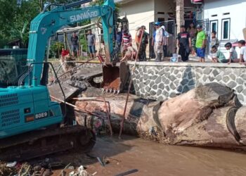 UPDATE : Kronologis Jembatan Ambruk, Pohon Tersangkut Sejak Tahun Lalu Hanyut Terbawa Banjir