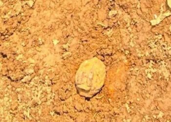 Warga Cigudeg Bogor Kaget Temukan Tiga Granat Peninggalan Perang di Lahan Pertanian