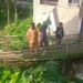 Jembatan Penghubung Kampung Nagrog Akan Segera Dibangun, Pemprov Jabar Siapkan Anggaran Rp200 Juta