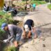 Desa Cihideung Udik Gelar Kerja Bakti Serentak, Sambut HJB Ke – 544 Lingkungan Bersih Dan Meriah