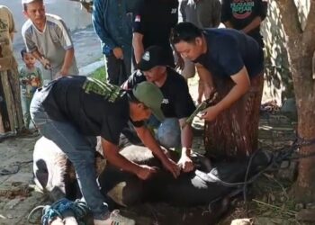 Momen Idul Adha, Keluarga Besar  BRAZA Bagikan Daging Kurban Kepada Guru dan Relawan