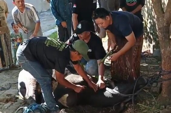 Momen Idul Adha, Keluarga Besar BRAZA Bagikan Daging Kurban Kepada Guru dan Relawan