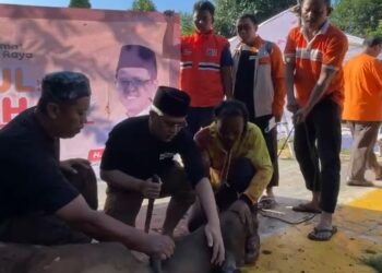 DPD PKS Kabupaten Bogor Kurban 6 Ekor Sapi pada Idul Adha 1447 H, Daging Dibagikan ke Kader dan Warga