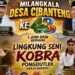 Desa Cibanteng Siap Rayakan Milangkala ke-48, Hadirkan Penampilan Spektakuler Lingkung Seni Kobra