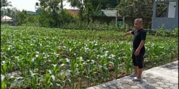 Limbah Dapur SPPG di Bogor Disulap Jadi Pupuk Organik, Dukung Pertanian Ramah Lingkungan