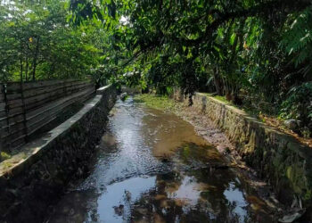 Pemkot Bogor Segera Normalisasi Kali Cibagolo