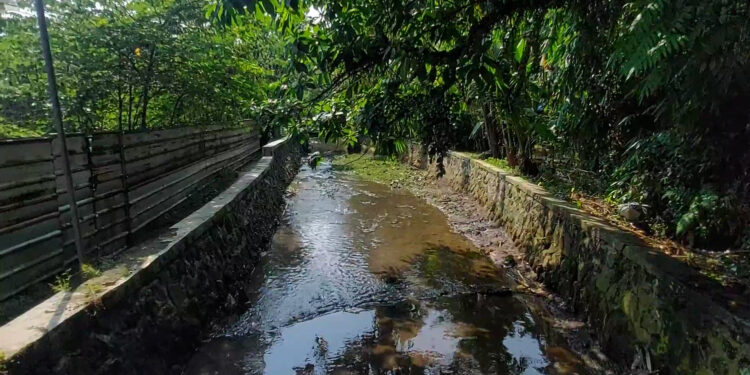 Pemkot Bogor Segera Normalisasi Kali Cibagolo