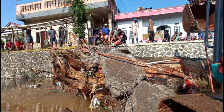 Pohon Mahoni Raksasa Rusak Jembatan di Ciomas Bogor, Petugas Lakukan Evakuasi