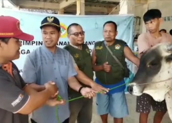 PAC LDII Gunung Putri Salurkan 16 Sapi dan 55 Kambing Kurban