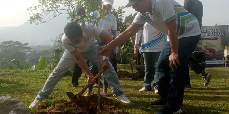 Warga Sentul City Tanam Ribuan Pohon untuk Cegah Longsor dan Banjir
