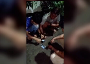 Polsek Dramaga Tangkap Tiga Pelaku Narkoba, Puluhan Paket Barang Bukti Disita