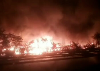 Kebakaran Hebat Landa Kandang Ayam di Cariu Bogor, 60 Ribu Ayam dan 8 Domba Mati Terpanggang