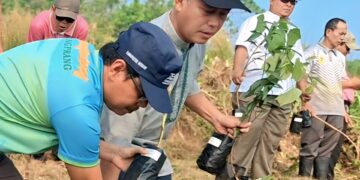 Camat Cibungbulang Pimpin Aksi Serentak Menanam Pohon Di Hutan Kota Galuga