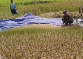 Musim Kemarau Baru Sebulan, Desa Parakan Muncang Kembali Krisis Air Bersih