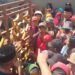 Adu Jotos Warnai Pembagian Daging Qurban