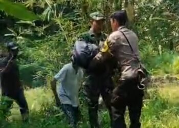 Tragis! Anak Usia 9 Tahun Ditemukan Meninggal, Diduga Diserang Anjing Pemburu