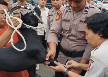 Bocah 9 Tahun Tewas Diterkam Anjing Pemburu di Jasinga, Pemiliknya Jadi Tersangka