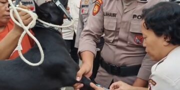 Bocah 9 Tahun Tewas Diterkam Anjing Pemburu di Jasinga, Pemiliknya Jadi Tersangka