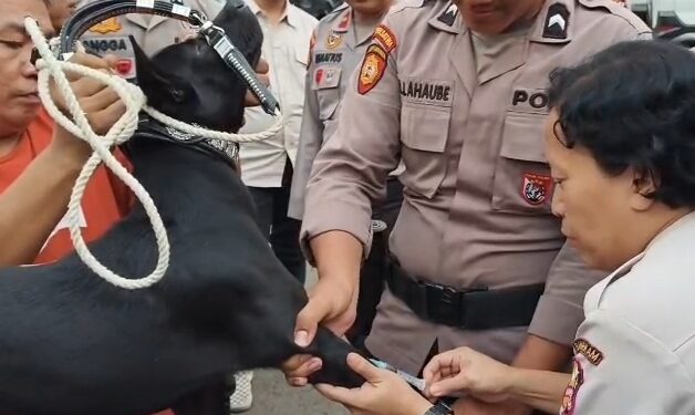 Bocah 9 Tahun Tewas Diterkam Anjing Pemburu di Jasinga, Pemiliknya Jadi Tersangka