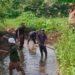 Irigasi Terbengkalai, Debit Air Menyusut, sampah Menumpuk Dan Warga berharap Tergantung Usulan Musrenbang