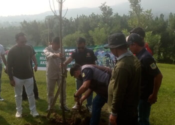 Sentul City dan Pramuka Tanam Pohon di Babakan Madang