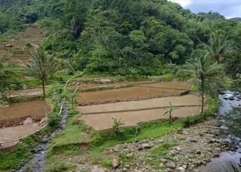 Petani Cijeruk–Cigombong Minta Kepastian Hukum Lahan Eks HGB PT BSS