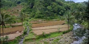 Petani Cijeruk–Cigombong Minta Kepastian Hukum Lahan Eks HGB PT BSS
