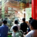 Baby Giant Panda Rio Tampil Perdana di Taman Safari Bogor