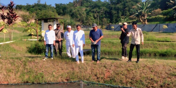 Dari Arwana Hingga Ikan Kampung, Wabup Bogor Dorong Potensi Ekonomi Sekaligus Pelestarian Alam