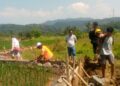 Perbaikan Irigasi Cigamea di Cibungbulang Atasi Kekeringan, Perkuat Ketahanan Pangan Masyarakat