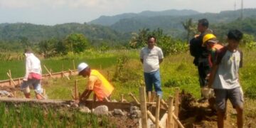 Perbaikan Irigasi Cigamea di Cibungbulang Atasi Kekeringan, Perkuat Ketahanan Pangan Masyarakat