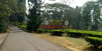 Agrowisata Gunung Mas Dipadati Wisatawan Saat Libur Panjang Sekolah