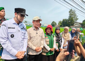 Wamenko Pangan Hanif Faisol Bersama Wakil Wali Kota Sukabumi Saat Tinjau Petani di Sukabumi