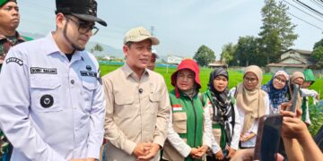 Wamenko Pangan Hanif Faisol Bersama Wakil Wali Kota Sukabumi Saat Tinjau Petani di Sukabumi