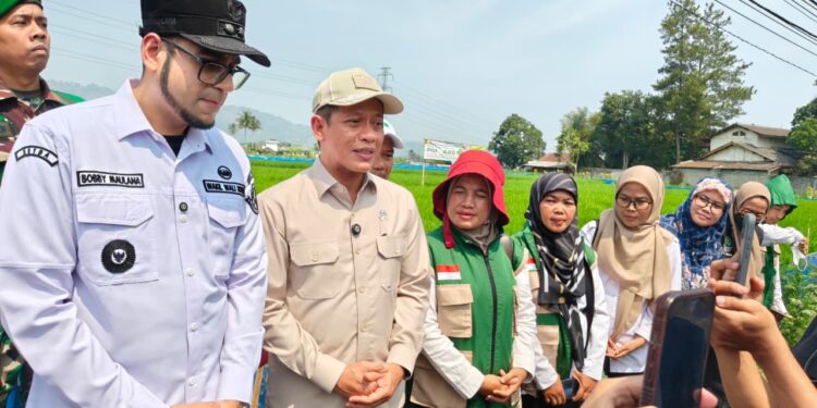 Wamenko Pangan Hanif Faisol Bersama Wakil Wali Kota Sukabumi Saat Tinjau Petani di Sukabumi