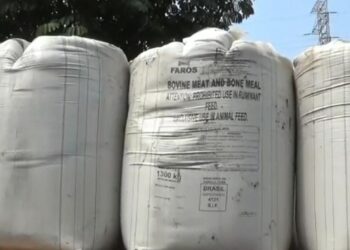 Mengandung Porcine 312 Ton Meat Bone Meal Asal Brazil Dimusnahkan